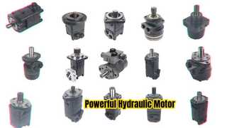 109-1116-006 hydraulischer Gerolermotor